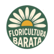 Floricultura Barata Goiânia